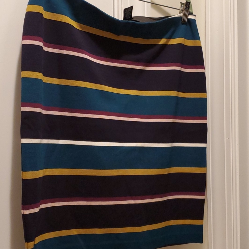 New Ann Taylor Skirt
